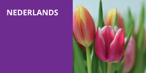 nederlands-4